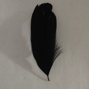 BRUNO CAPELO REAL SIDE FEATHERS FOR FEDORA HATS. UNISEX.